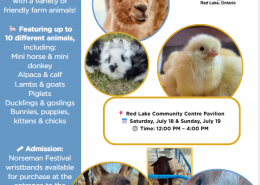 Petting Zoo