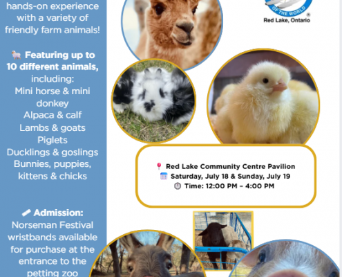 Petting Zoo